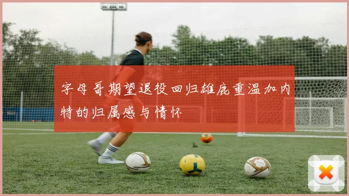 字母哥期望退役回归雄鹿重温加内特的归属感与情怀